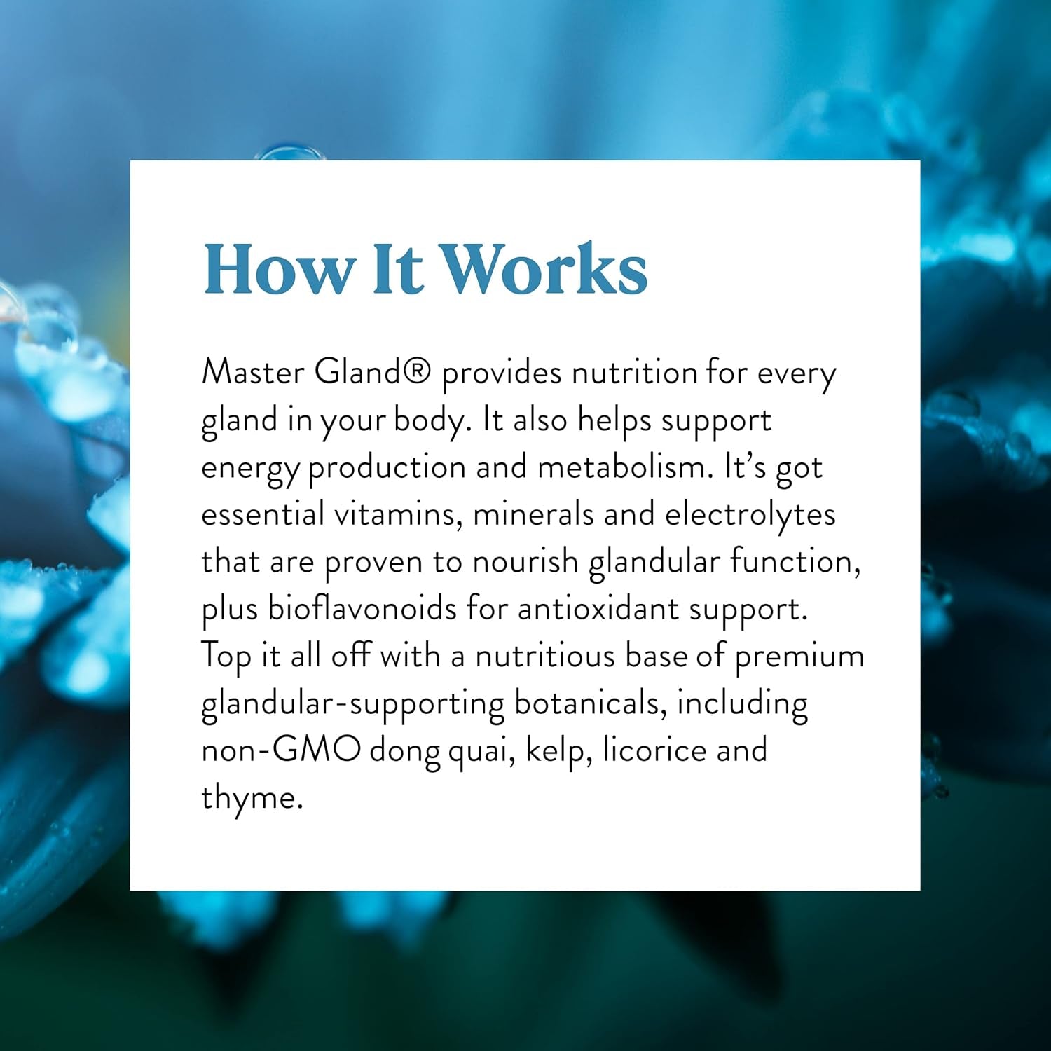 Nature'S Sunshine Master Gland - Provides Complete Nutritional Support for Every Gland in the Body 120 Capsules