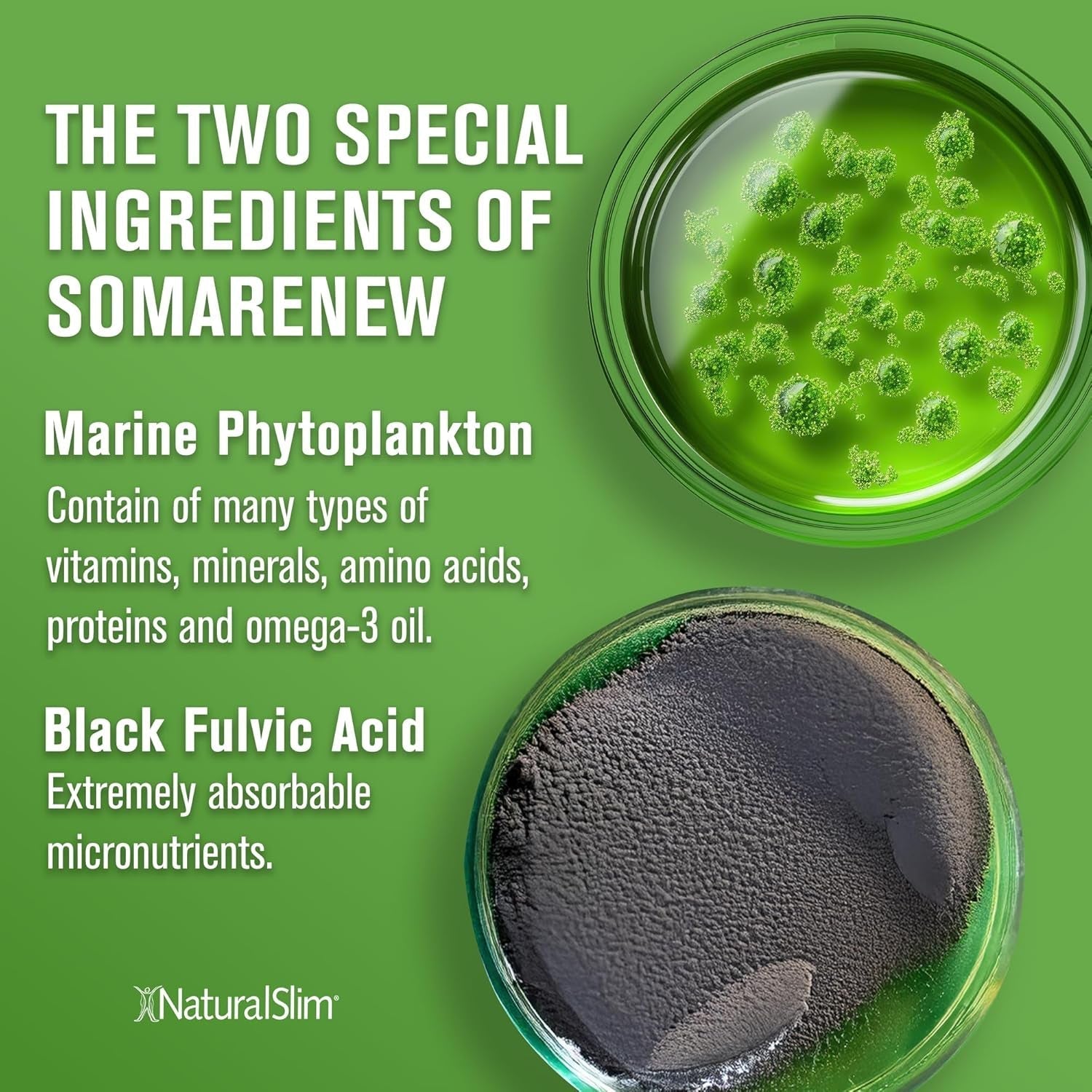 Somarenew Metabolism Booster, Gut Cleanse, Energy Support & Full Body Cleanse Supplement 180 Vegetable Capsules