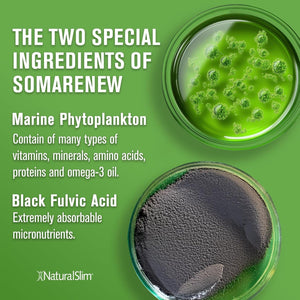 Somarenew Metabolism Booster, Gut Cleanse, Energy Support & Full Body Cleanse Supplement 180 Vegetable Capsules