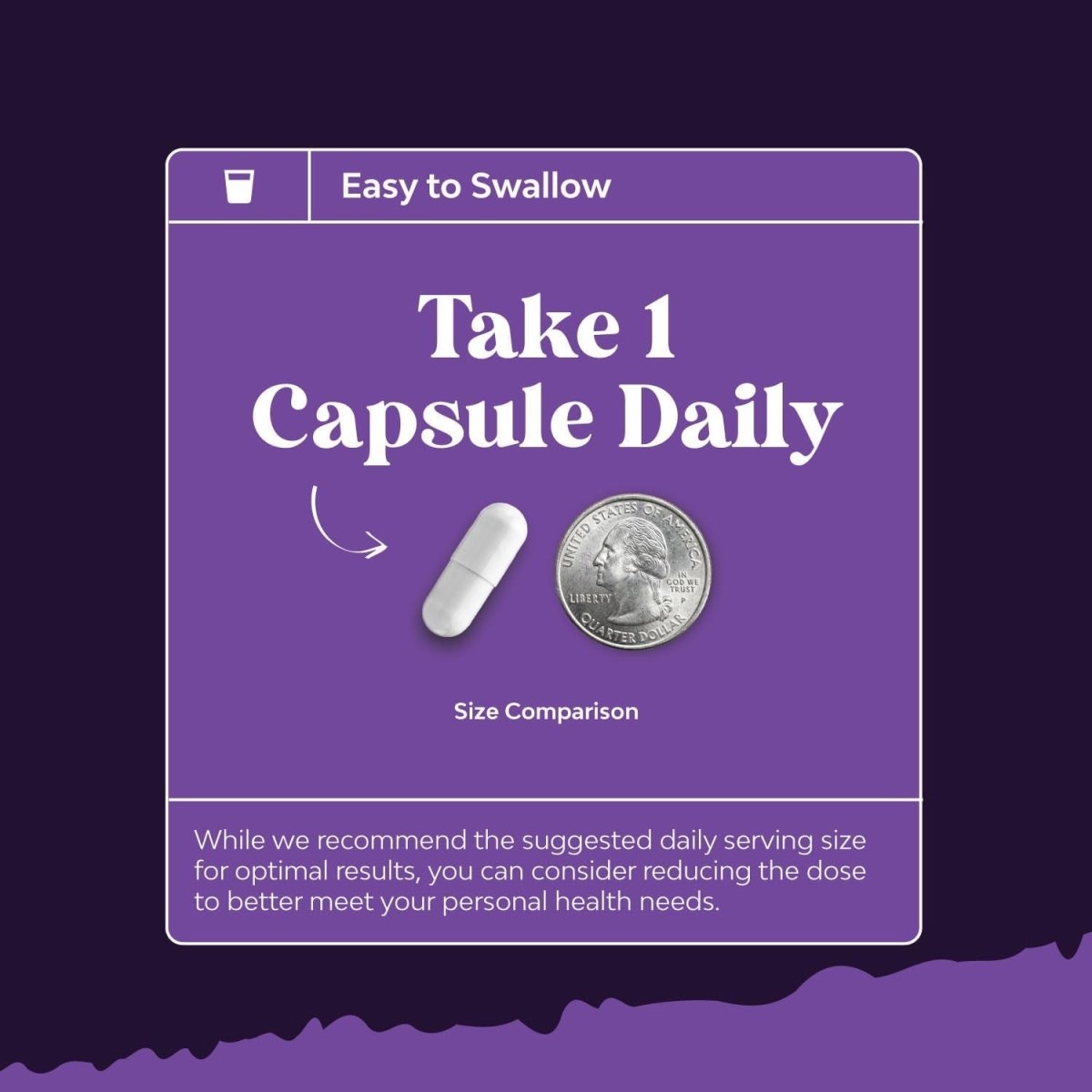 Acai Berry Antioxidant Support Weight Loss Supplement for Women and Men - 60 Servings - Suppviv