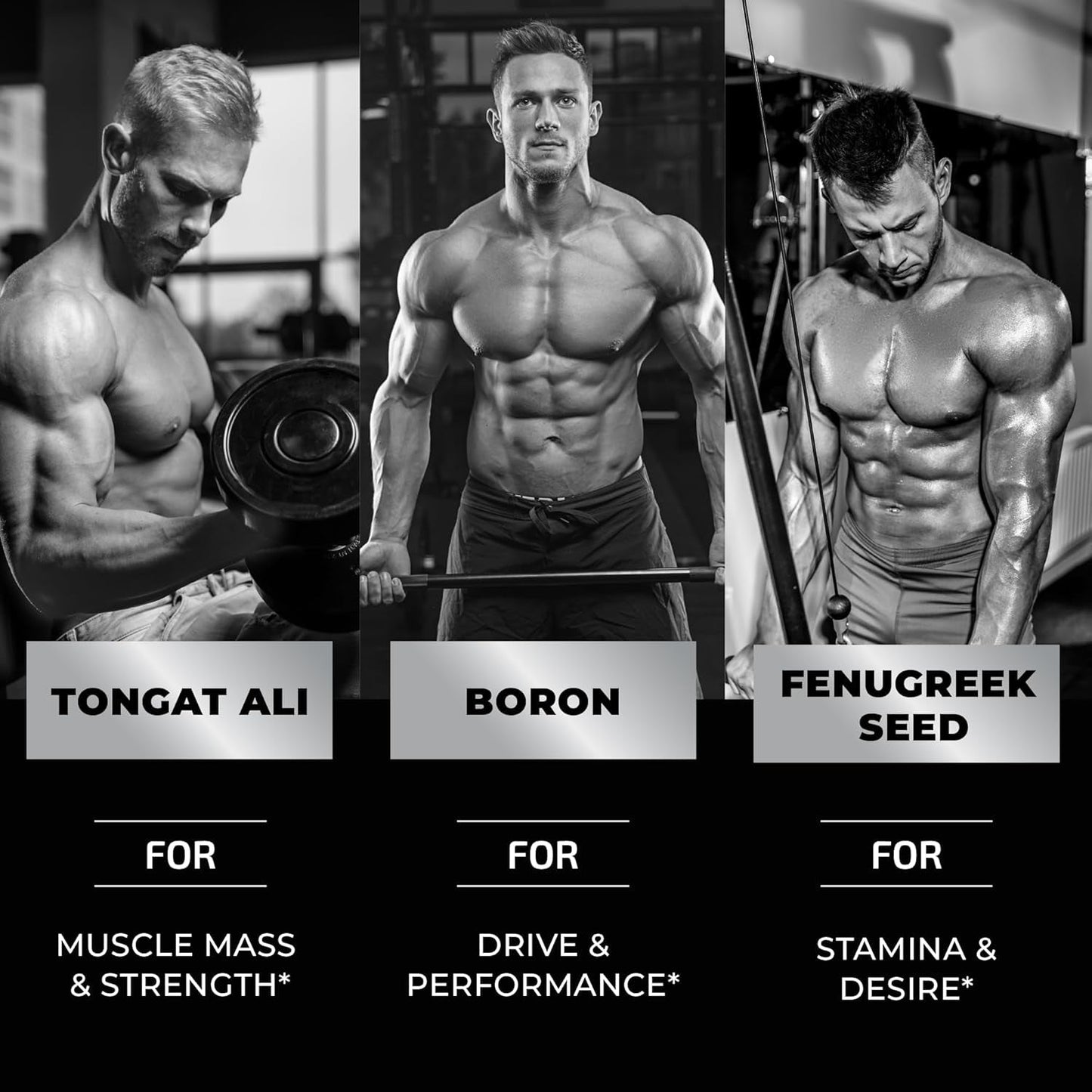Testosterone Supplement for Men for Muscle Growth, Stamina & Performance 60 Gummies
