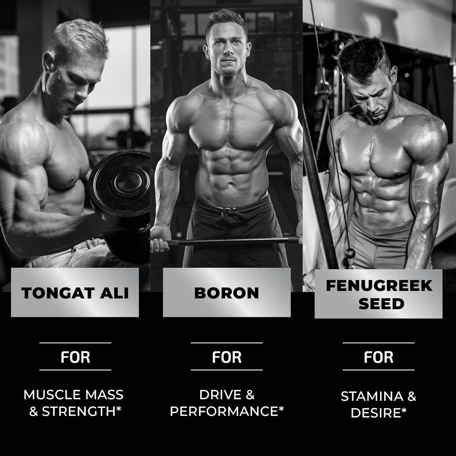 Testosterone Supplement for Men for Muscle Growth, Stamina & Performance 60 Gummies
