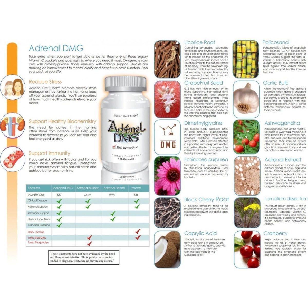 Adrenal DMG - Support Daytime Energy, Better Sleep, Immune System, Reduce Stress Levels, and Fatigue - 180 Capsules - Suppviv