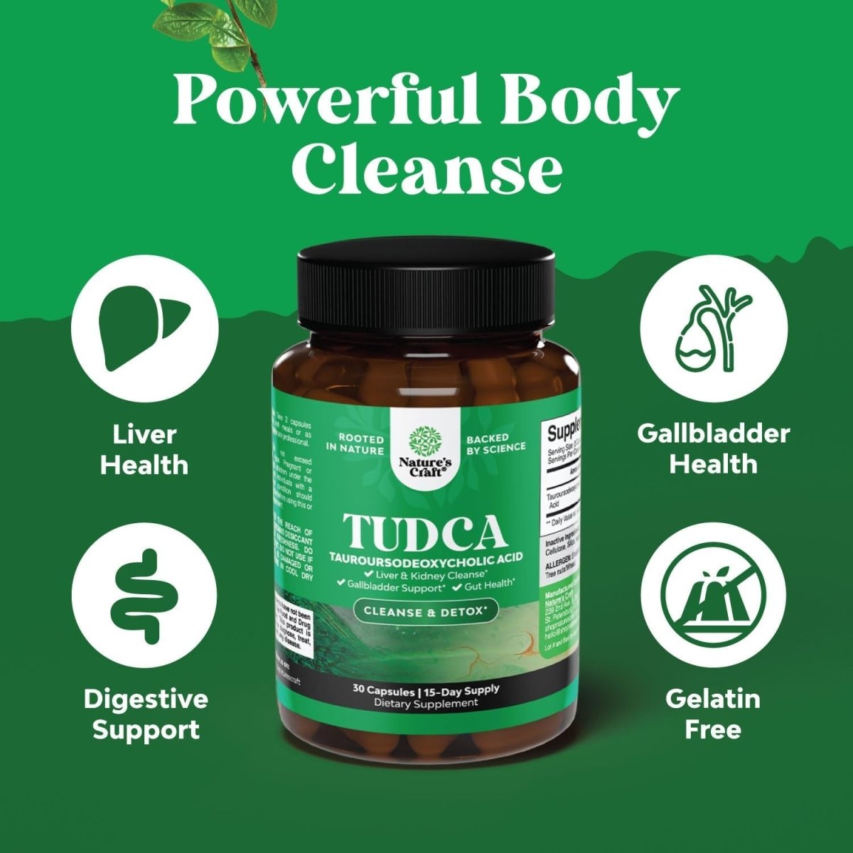 Advanced Bile Salt TUDCA Supplement for Gallbladder Kidney and Liver Support - Suppviv