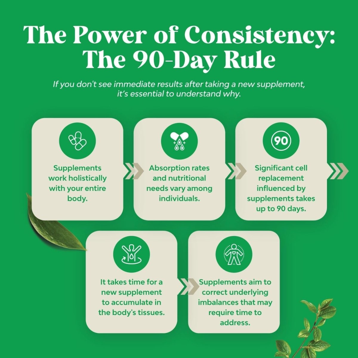 Advanced Bile Salt TUDCA Supplement for Gallbladder Kidney and Liver Support - Suppviv