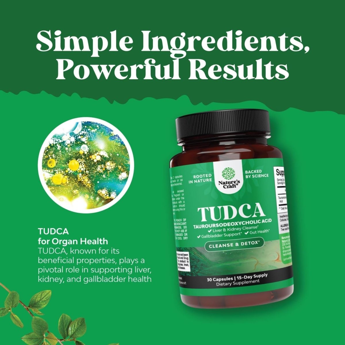 Advanced Bile Salt TUDCA Supplement for Gallbladder Kidney and Liver Support - Suppviv