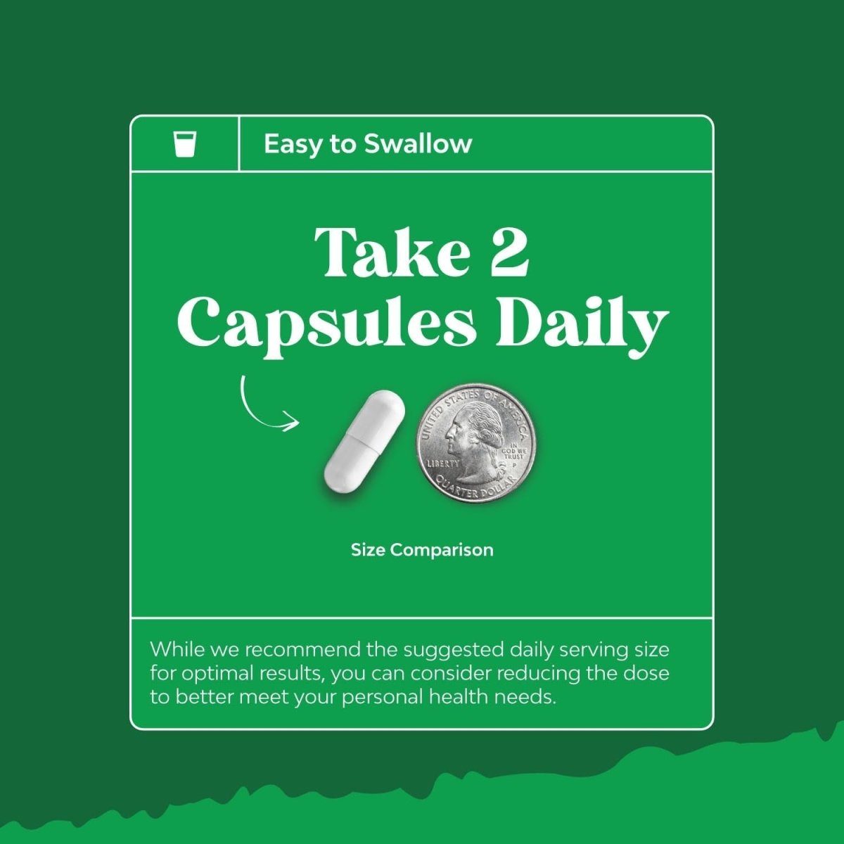 Advanced Bile Salt TUDCA Supplement for Gallbladder Kidney and Liver Support - Suppviv