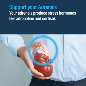 ADVANCED BIONUTRITIONALS – Advanced Adrenal Factor, for Cortisol (120 Tablets) - Suppviv