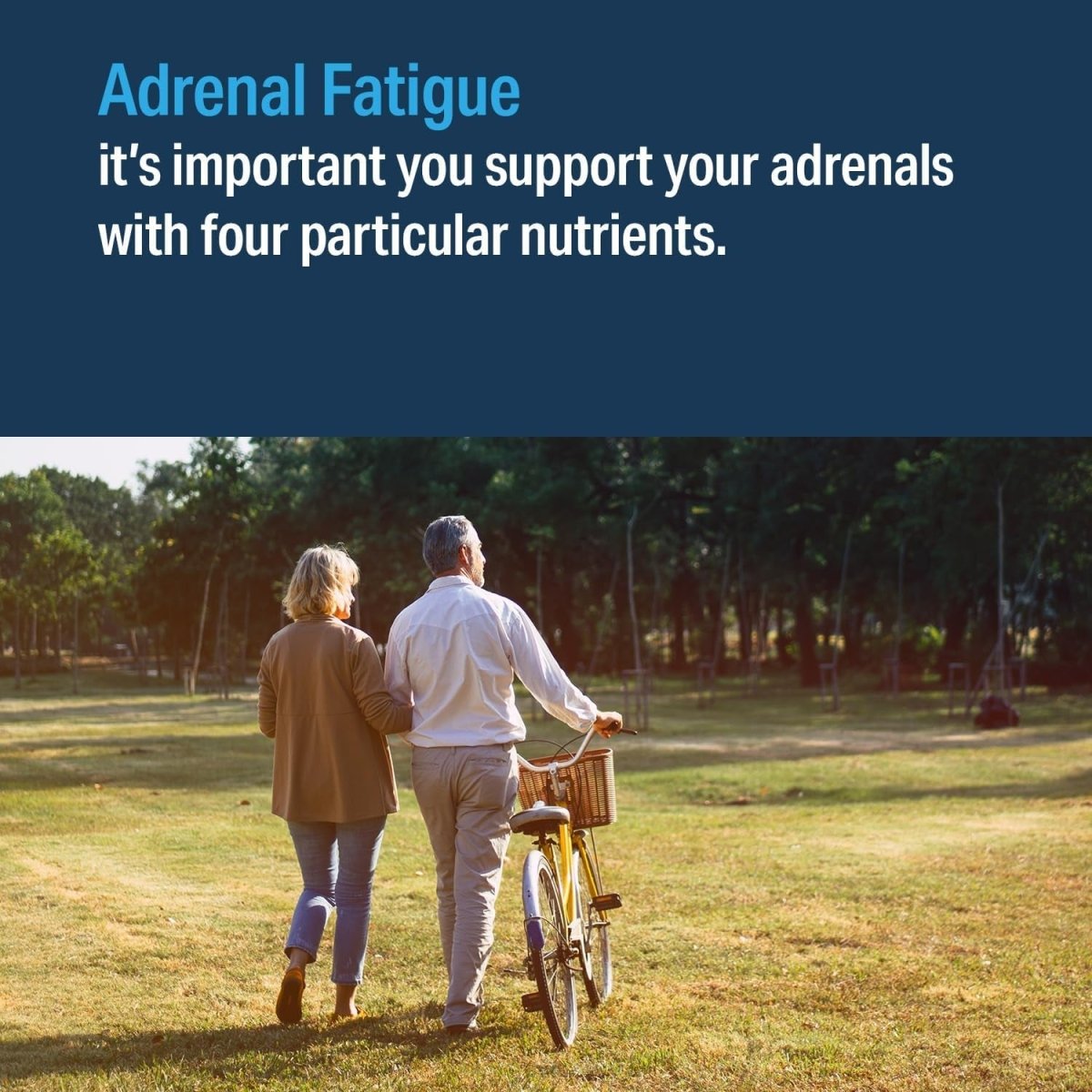 ADVANCED BIONUTRITIONALS – Advanced Adrenal Factor, for Cortisol (120 Tablets) - Suppviv