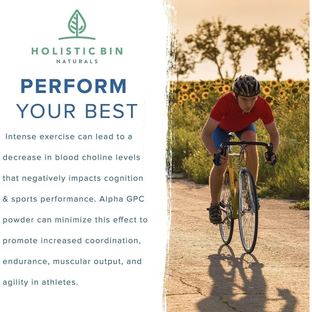 Alphasize® GPC Powder | Brain Support Supplement for Memory & Physical Endurance Support - Suppviv