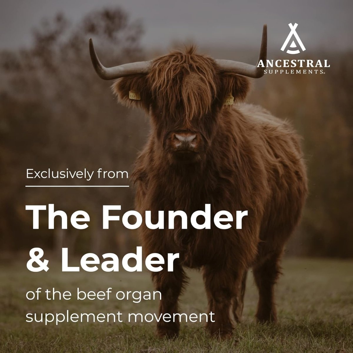 Ancestral Supplements Grass Fed Beef Organ Supplement, Supports Whole Body Wellness 180 Capsules - Suppviv