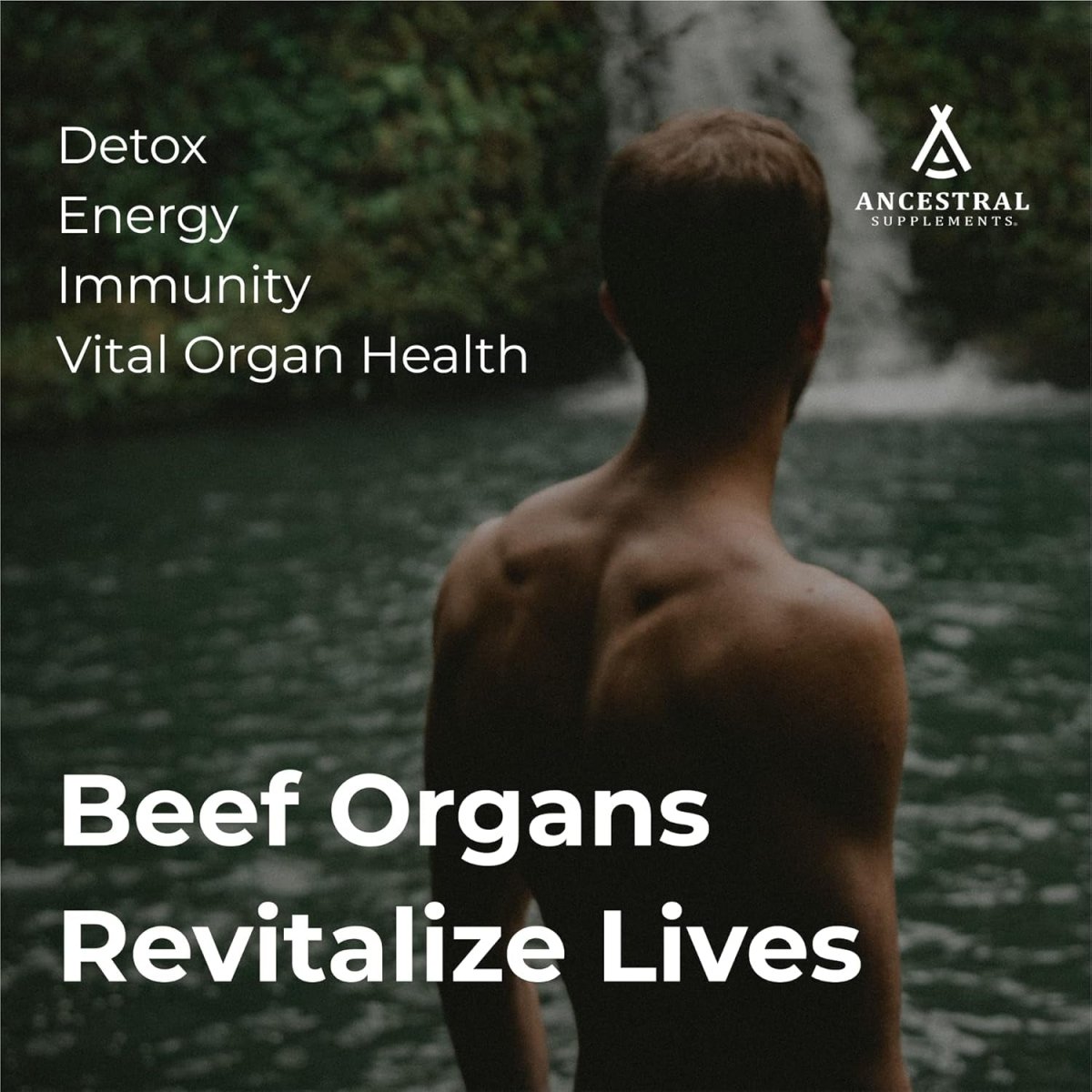 Ancestral Supplements Grass Fed Beef Organ Supplement, Supports Whole Body Wellness 180 Capsules - Suppviv