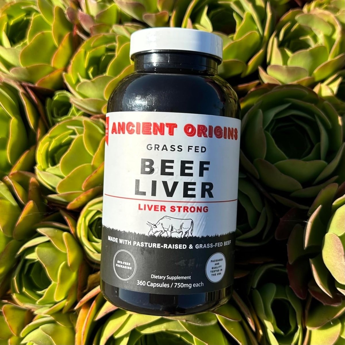 Ancient Origins Grass Fed Beef Liver Capsules (360 Capsules) - Suppviv