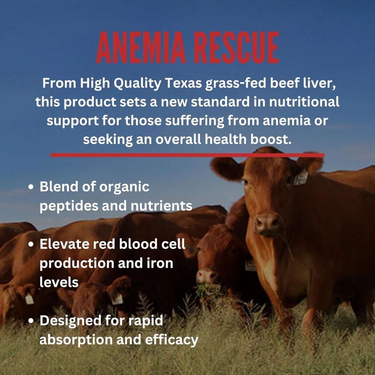 Anemia Rescue - Grass Fed Beef Liver and Peptides, Blood Building & Energy Support Supplement 1 PACK - Suppviv