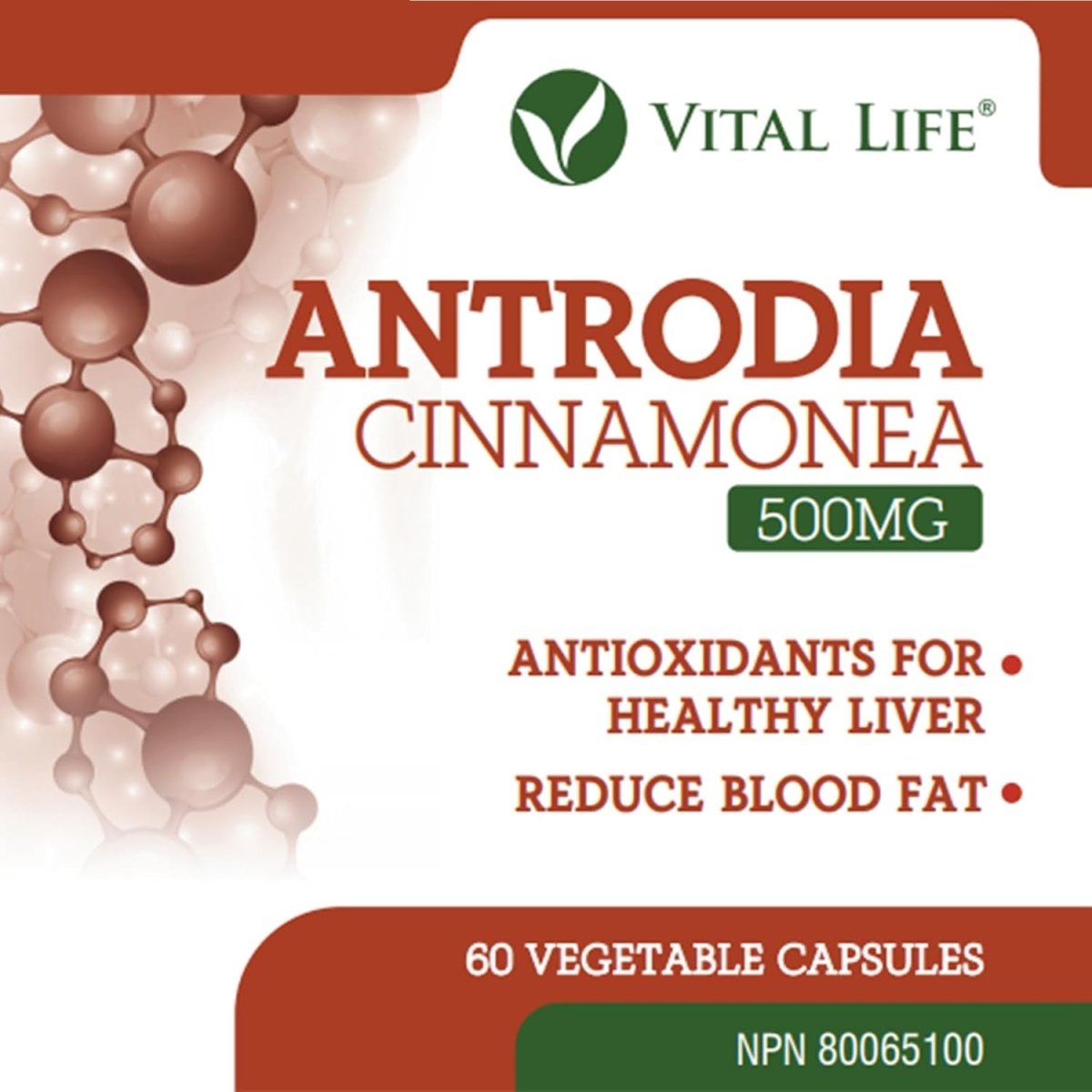 Antrodia Cinnamonea for Healthy Liver & Reduce Blood Fat 60 Vegetable Capsules - Suppviv