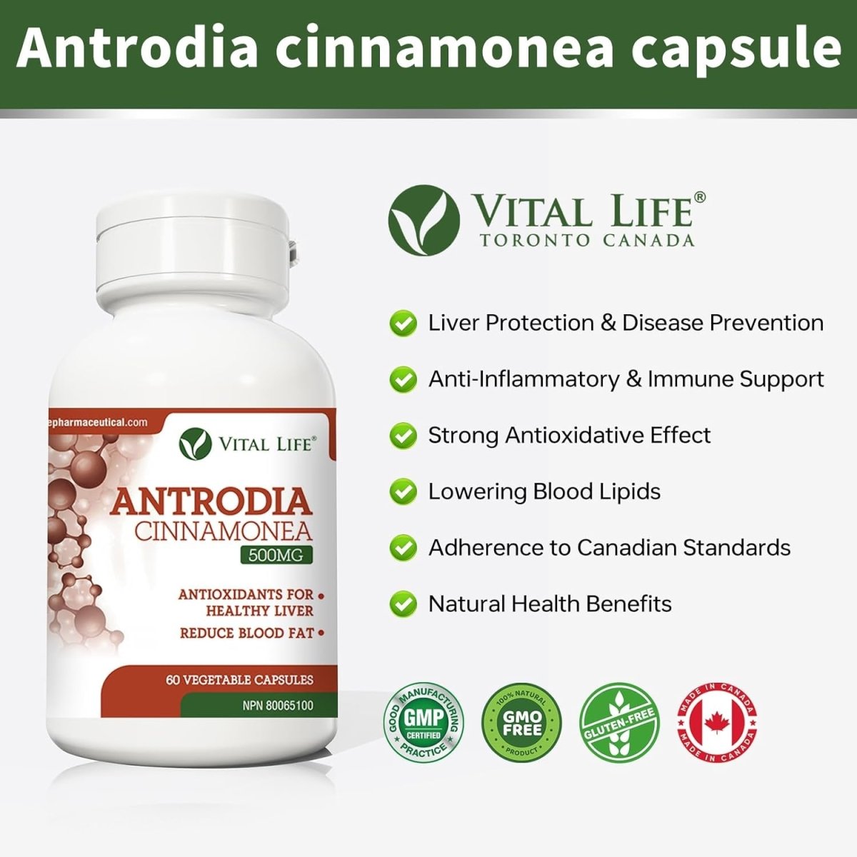 Antrodia Cinnamonea for Healthy Liver & Reduce Blood Fat 60 Vegetable Capsules - Suppviv