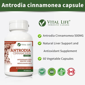 Antrodia Cinnamonea for Healthy Liver & Reduce Blood Fat 60 Vegetable Capsules - Suppviv