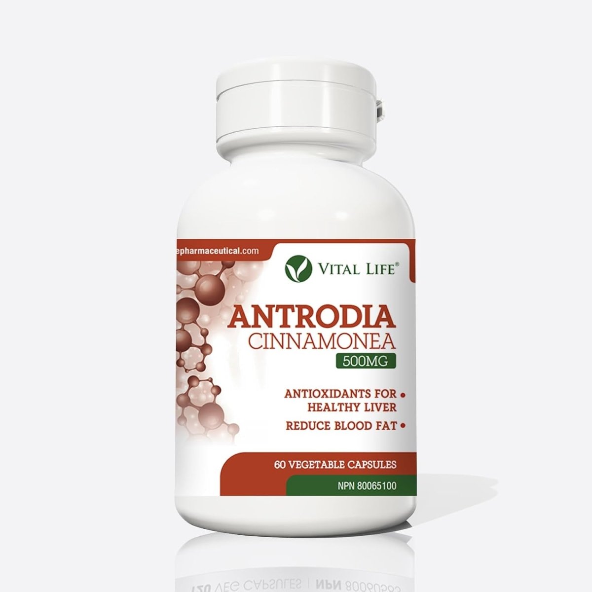 Antrodia Cinnamonea for Healthy Liver & Reduce Blood Fat 60 Vegetable Capsules - Suppviv