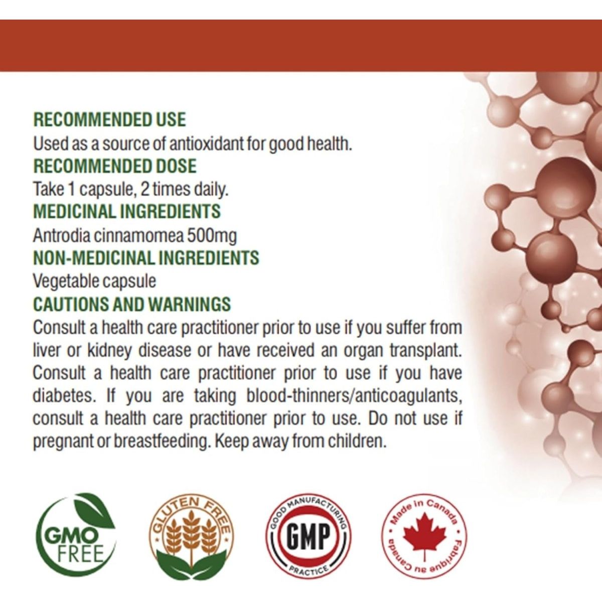 Antrodia Cinnamonea for Healthy Liver & Reduce Blood Fat 60 Vegetable Capsules - Suppviv