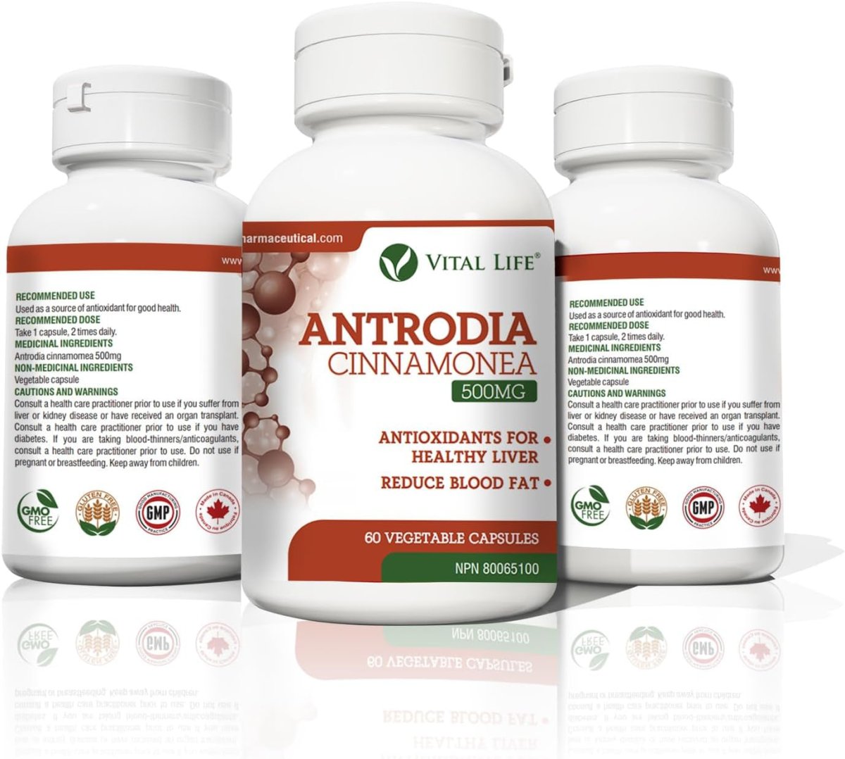 Antrodia Cinnamonea for Healthy Liver & Reduce Blood Fat 60 Vegetable Capsules - Suppviv