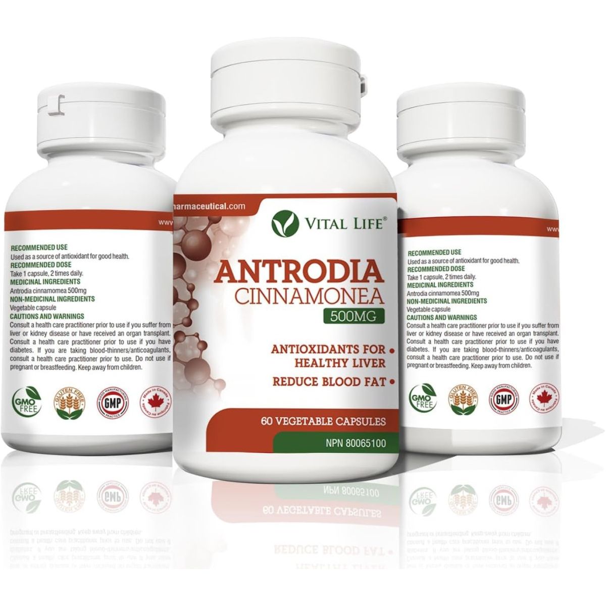 Antrodia Cinnamonea for Healthy Liver & Reduce Blood Fat 60 Vegetable Capsules - Suppviv