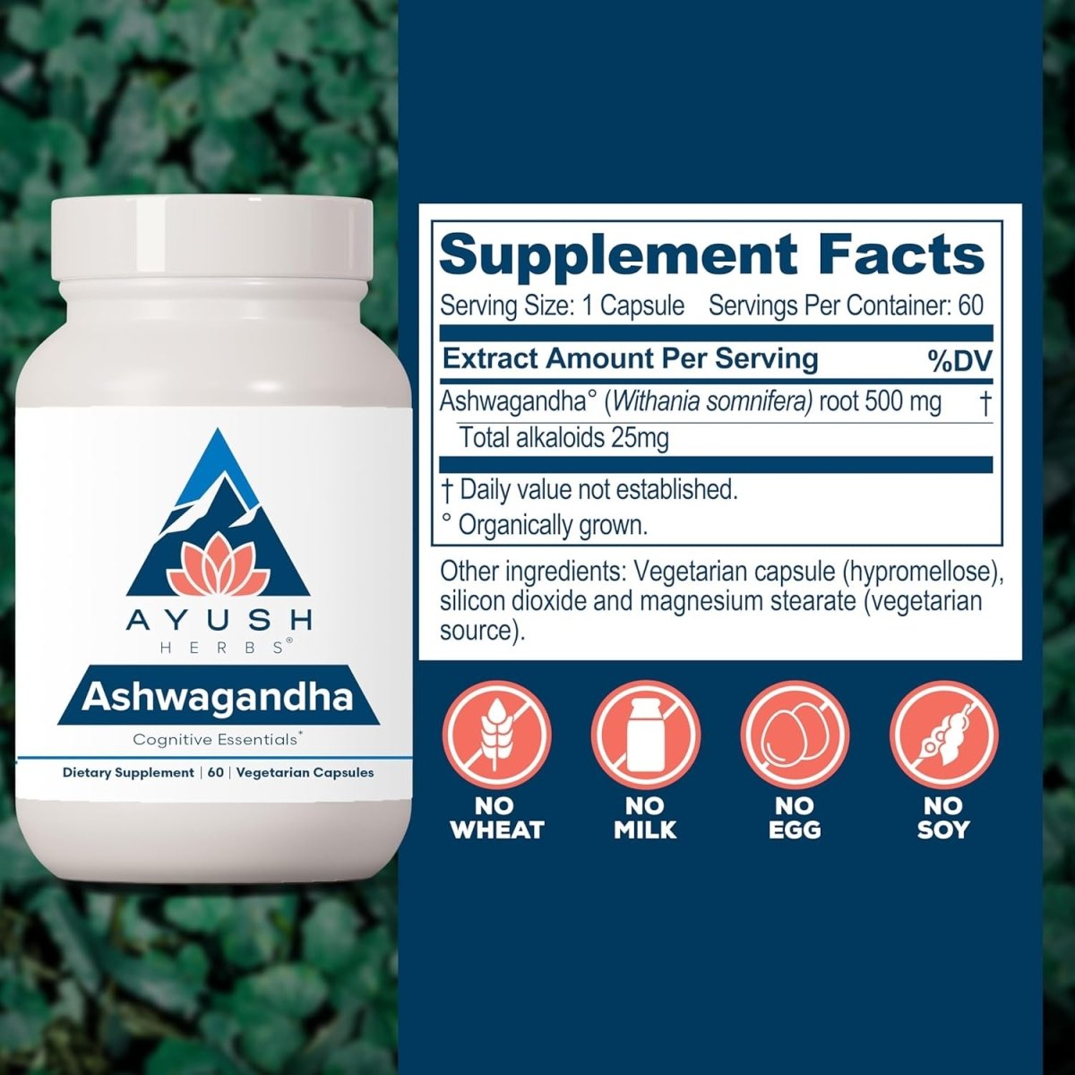 Ayush Herbs Ashwagandha Supplement, 500 Mg Ashwagandha Root Powder Extract 60 Capsules - Suppviv