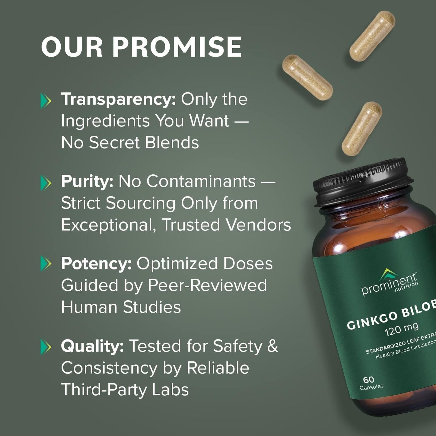 Prominent Nutrition Ginkgo Biloba 120Mg to Help Support Memory & Focus 60 Day Supply