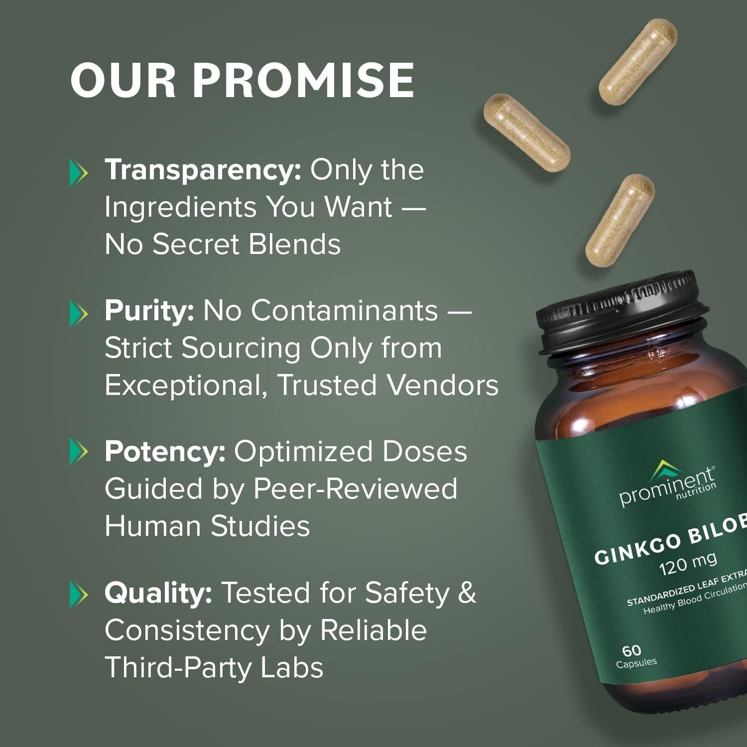 Prominent Nutrition Ginkgo Biloba 120Mg to Help Support Memory & Focus 60 Day Supply