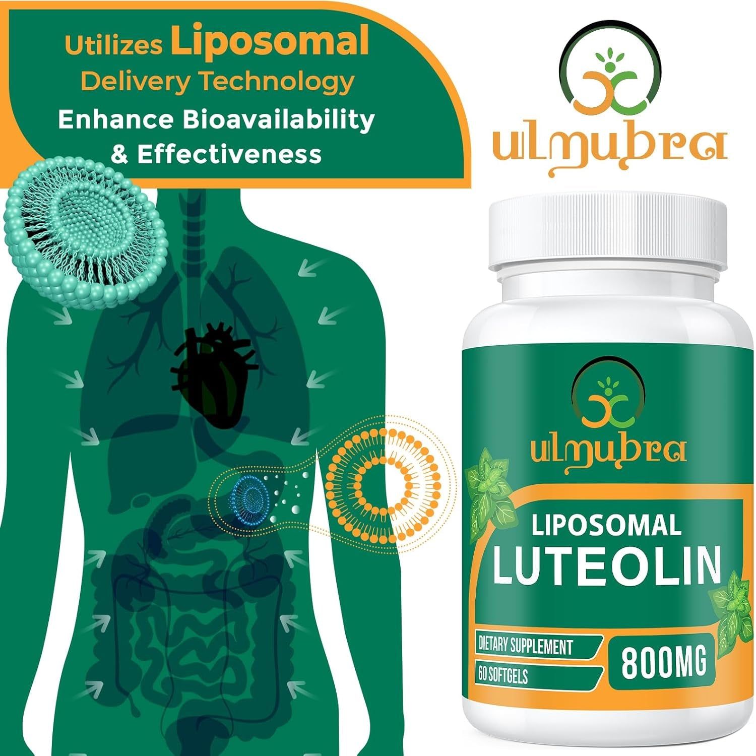 800 MG Liposomal Luteolin Supplement - Premium Antioxidant Supplement for Brain & Overall Well-Being 60 Softgels
