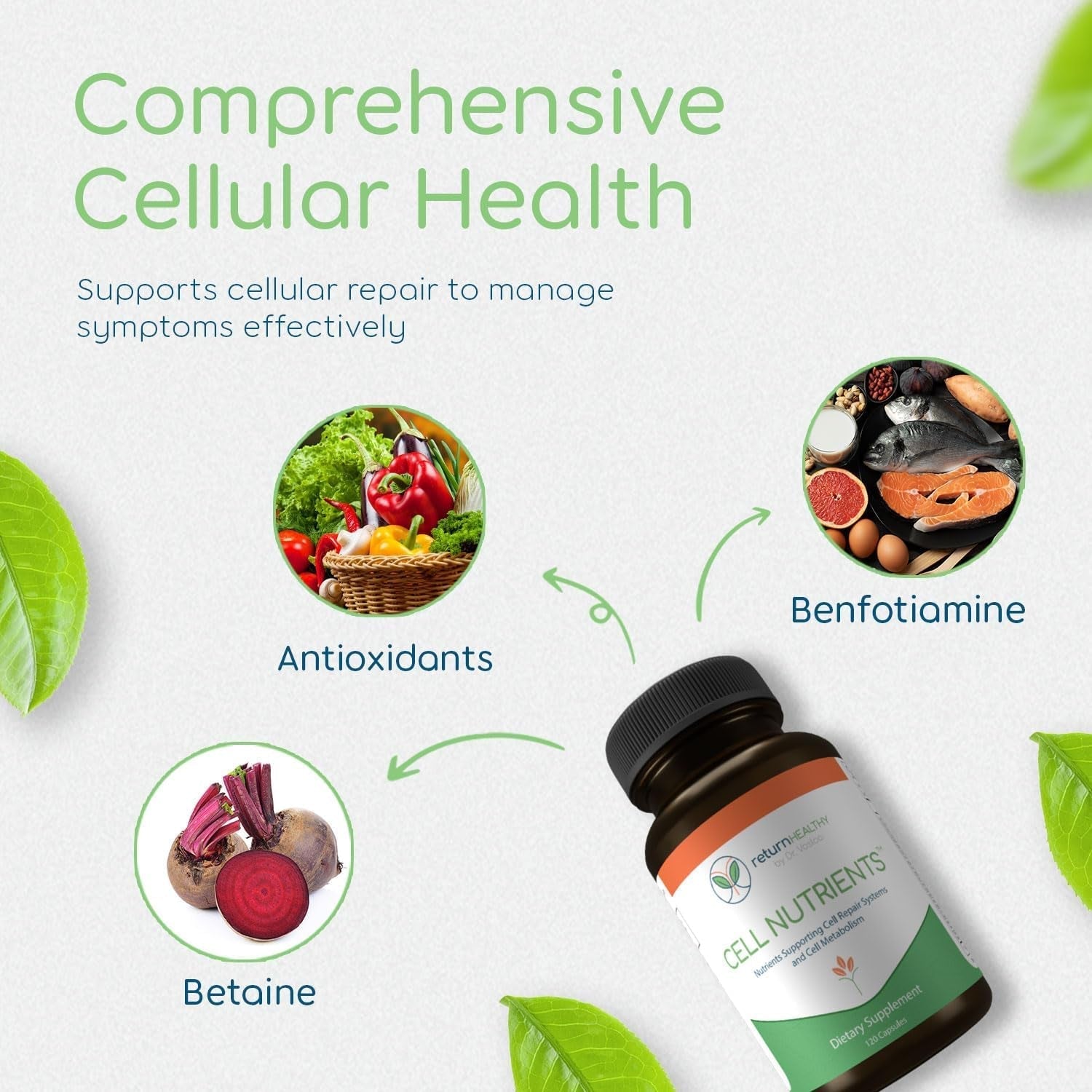 Cell Nutrients | Promotes Cell and Membrane Repair & Cell Metabolism 120 Caps