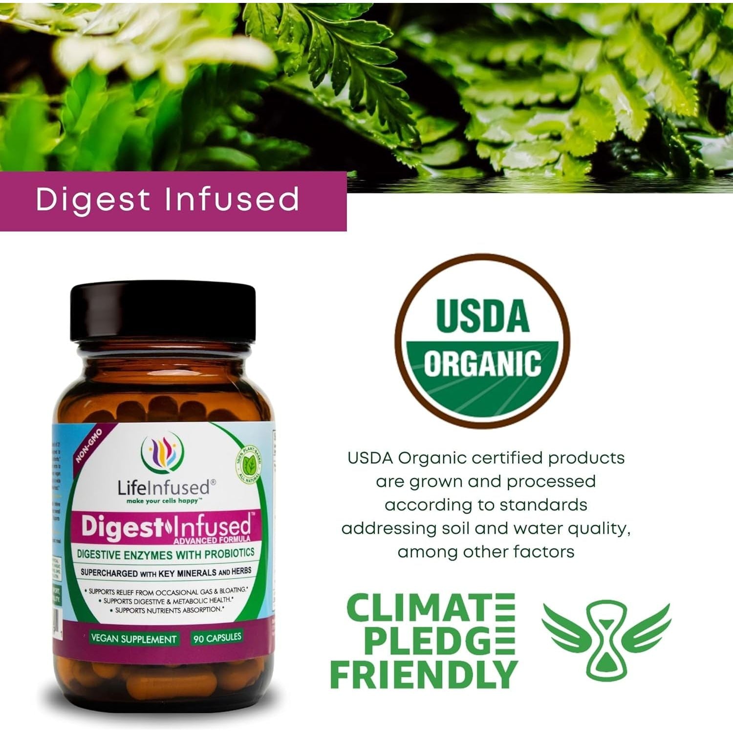Life Infused - Premium Digestive Enzyme Supplement - Ease Gas & Bloating. 90 Servings.