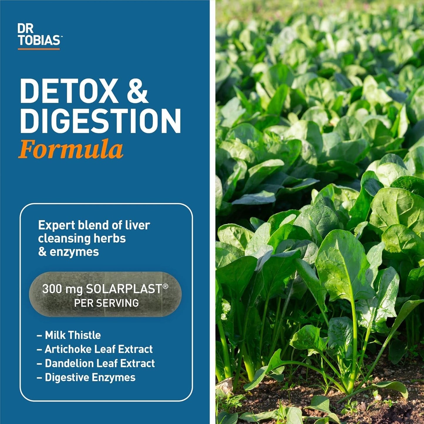 Dr. Tobias Liver 21 Day Cleanse, Herbal Liver Detox Cleanse 63 Vegetable Capsules