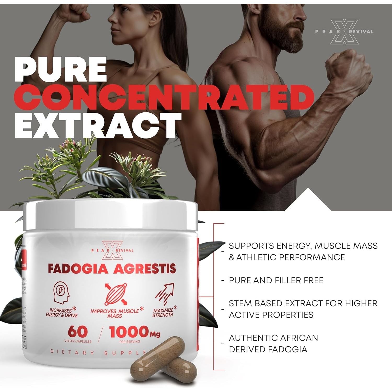 Fadogia Agrestis 1000Mg per Serving Supplement to Increase Energy, Athletic Performance & Muscle Mass (60 Capsules)