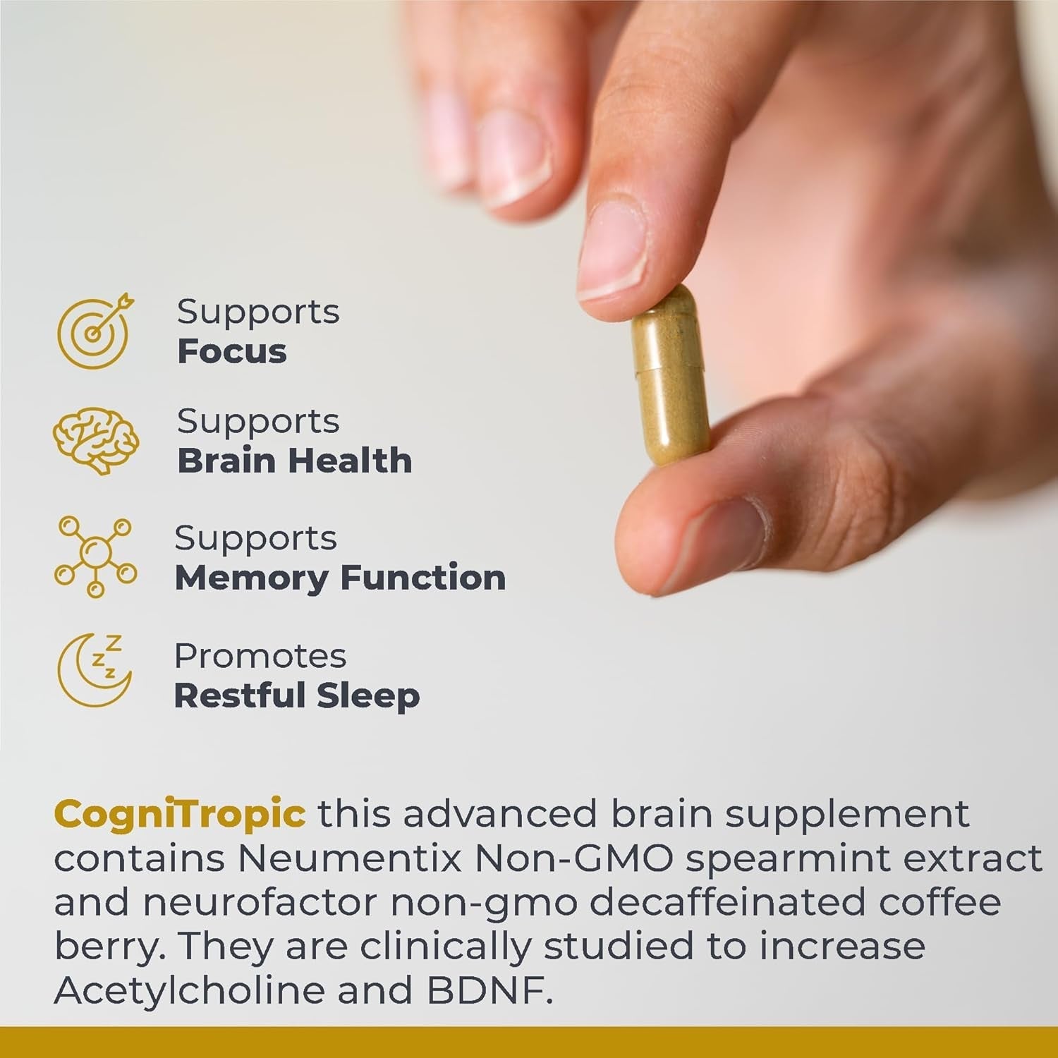 Premier Research Labs Cognitropic - Brain Supplements for Memory and Focus 120 Capsules
