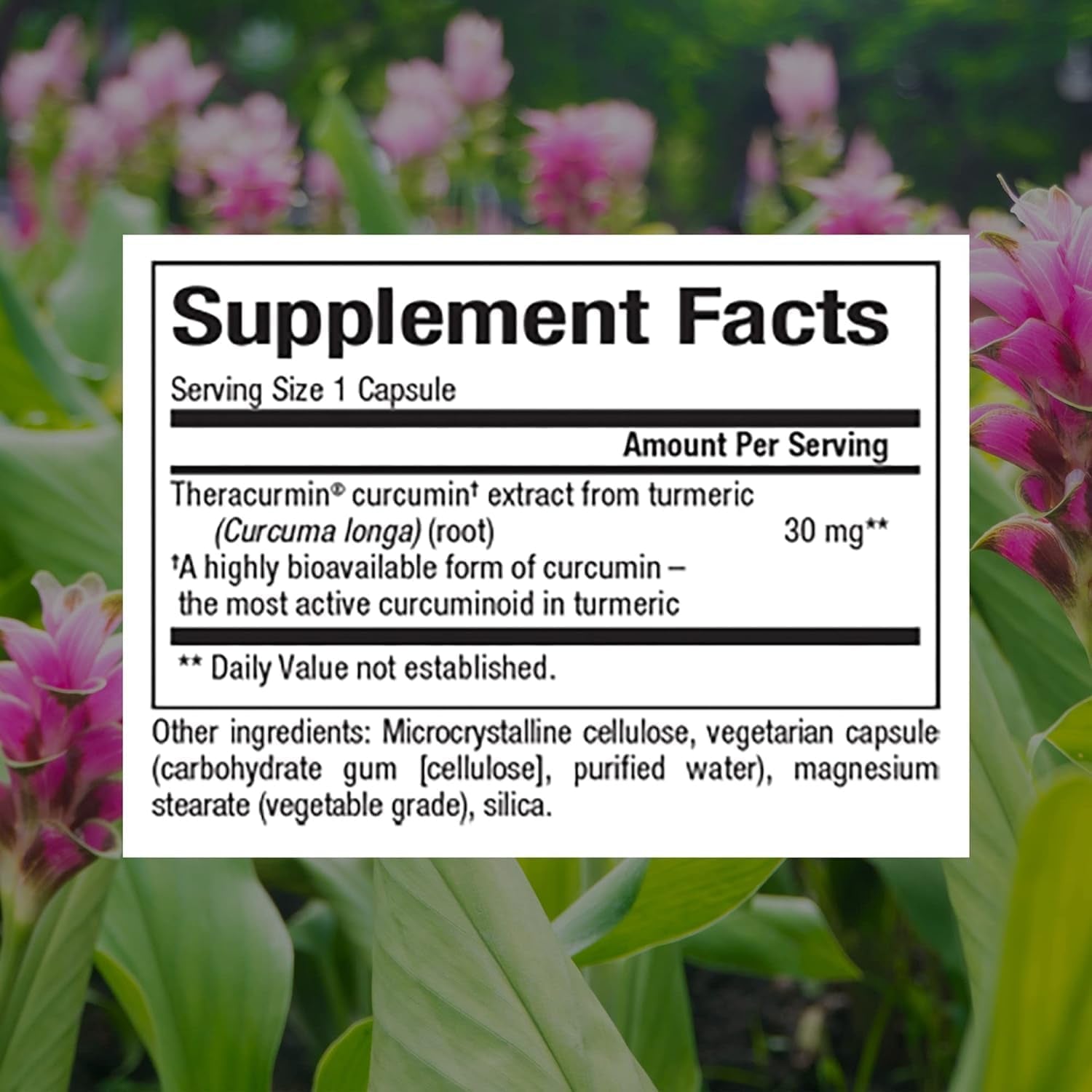 Natural Factors, Curcuminrich Theracurmin, 30 Mg, Formulated for Superior Absorption, 120 Count