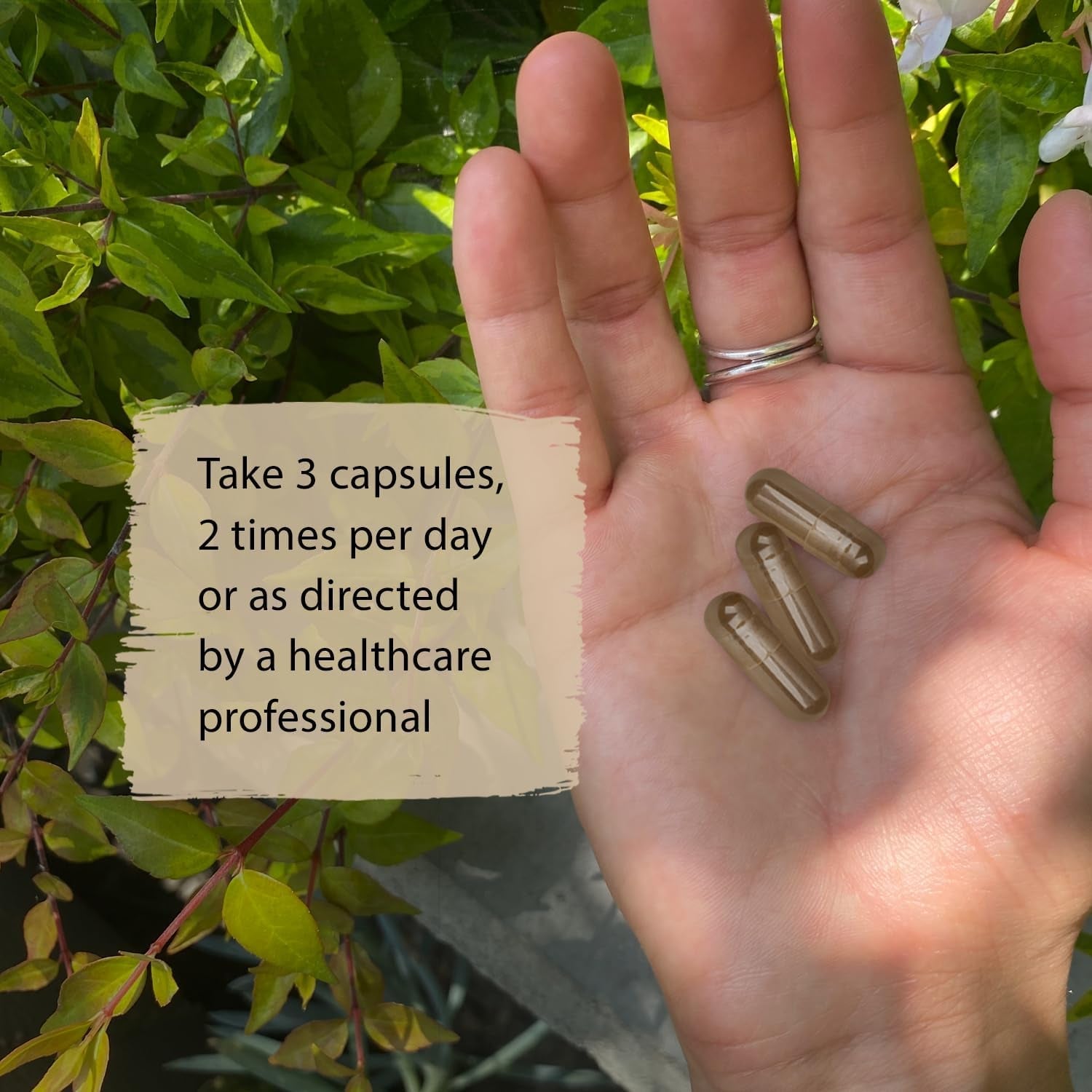 Dragon Herbs Super Adaptogen Support Well-Being, Mood, Immune Function, Strong Adaptive Response  (100 Capsules,500 Mg)”