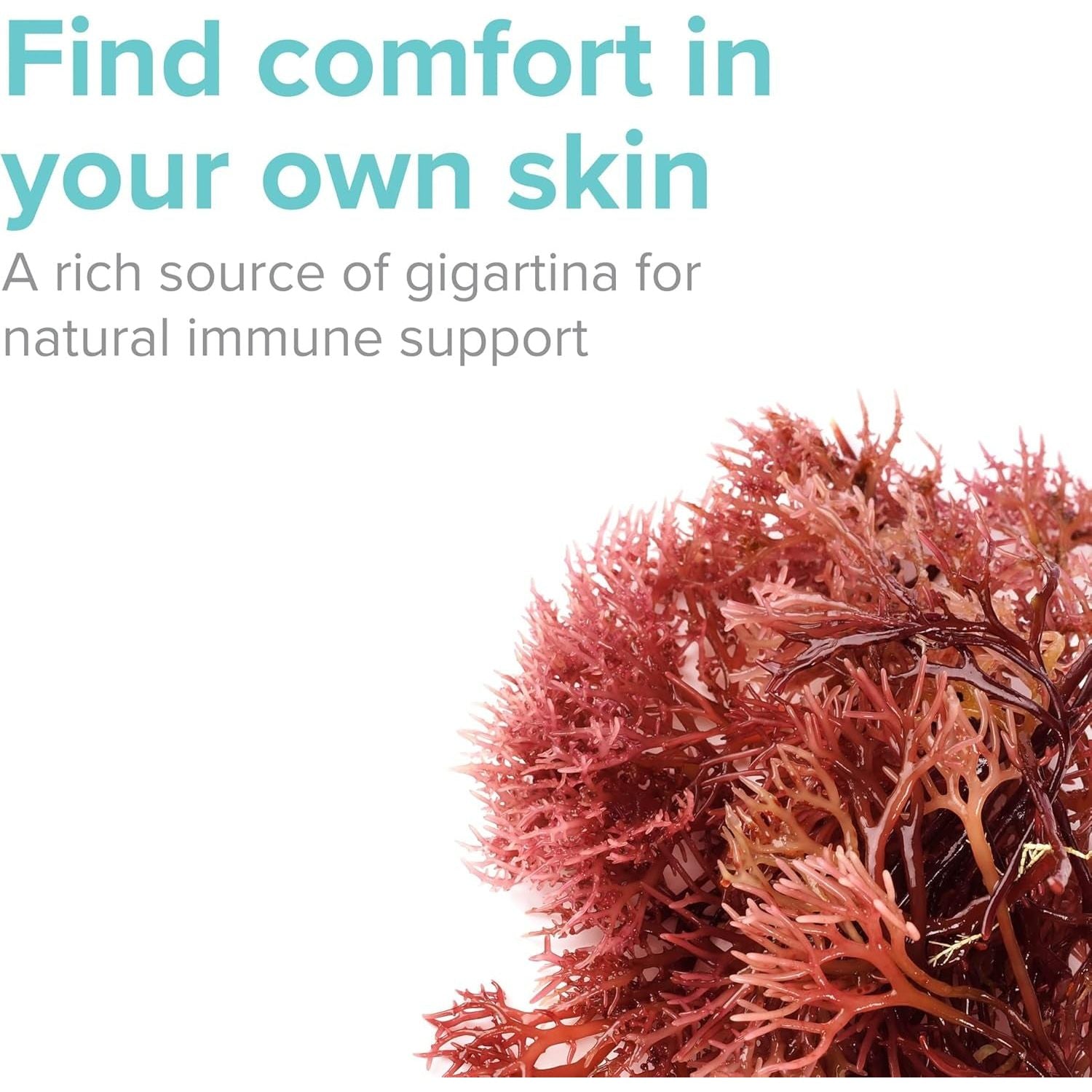 Vibrant Health, Gigartina Red Marine Algae, Plant-Based Immune Support, 60 Capsules