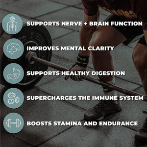 Liquid Chelated Minerals - Organic Humic Fulvic Mineral Blend 1 Month Supply, 32 Fl. Oz