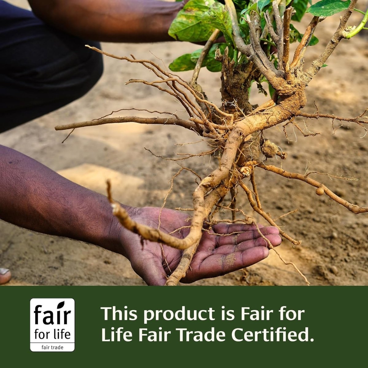 Banyan Botanicals Adrenal Nourish – Organic Adaptogen Supplement - 90 Tablets - Suppviv