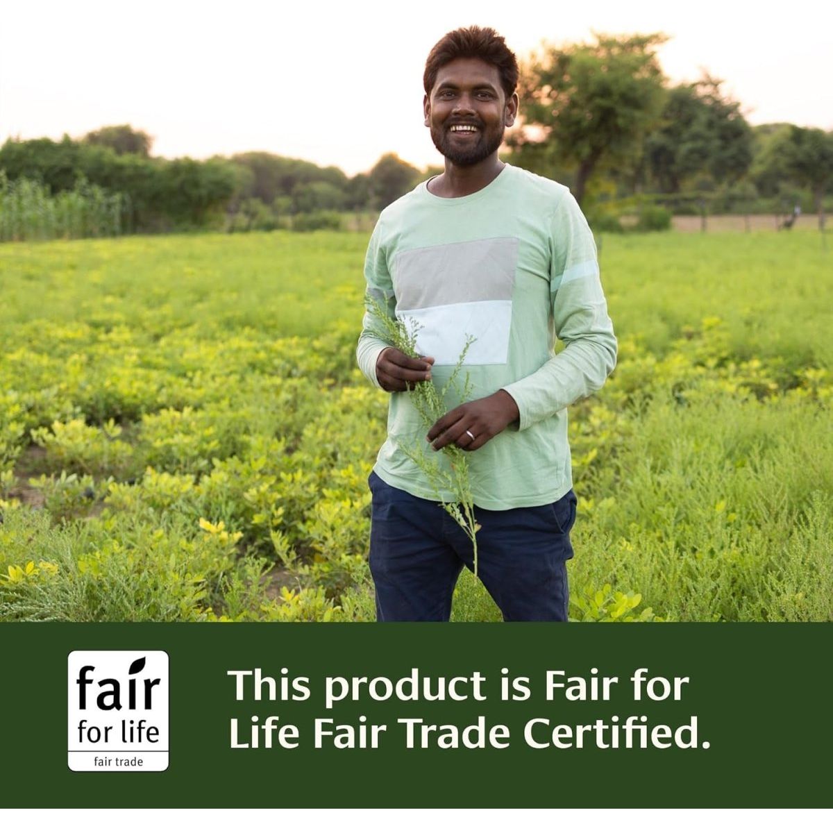 Banyan Botanicals Liver Formula| Cleansing Bitter Herbs to Detoxify the Liver & Gallbladder (90 Tablets) - Suppviv