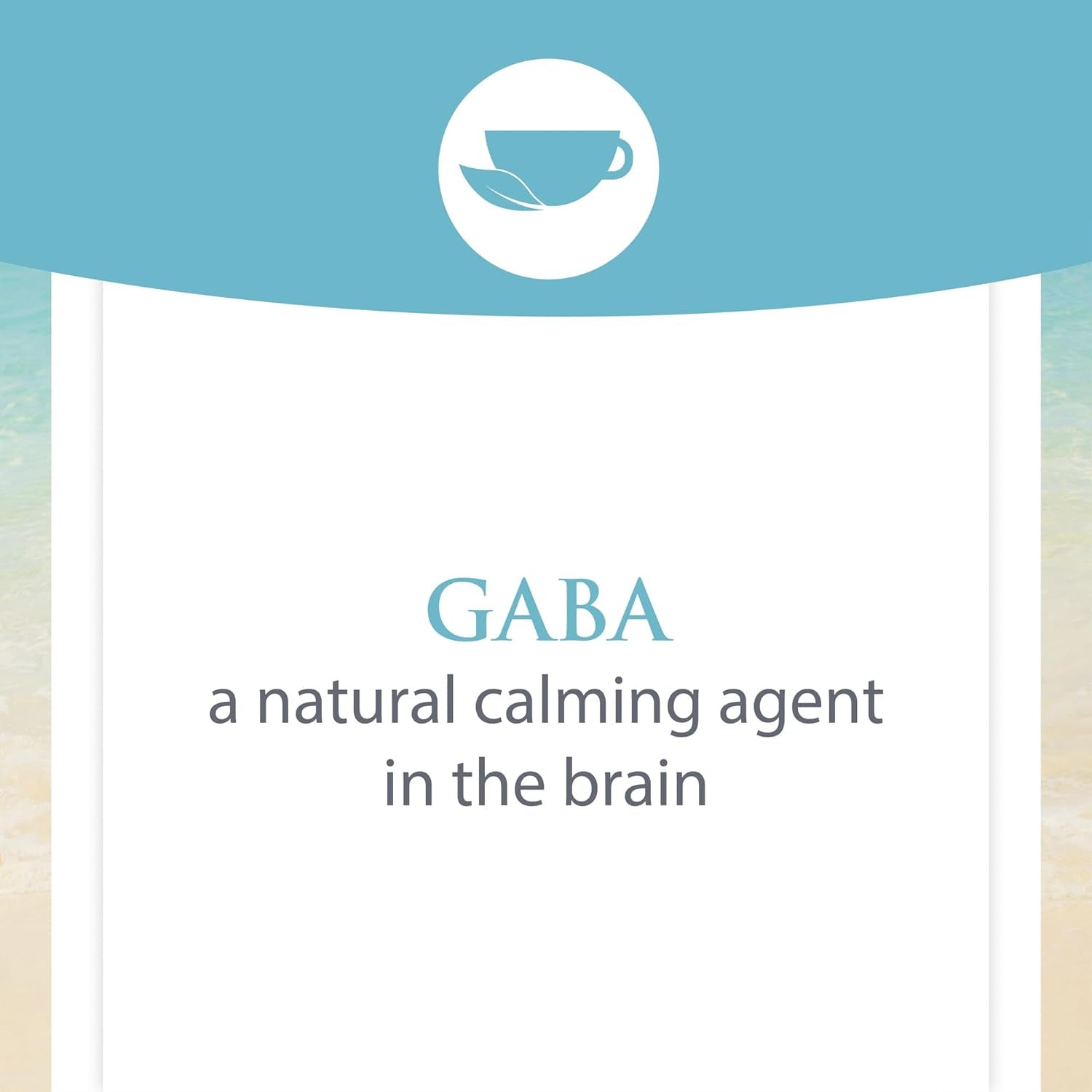 Natural Factors Stress-Relax Pharma GABA 250 Mg, Non-Drowsy Stress Support for Relaxation and Mental Focus, 60 Vegetarian Capsules