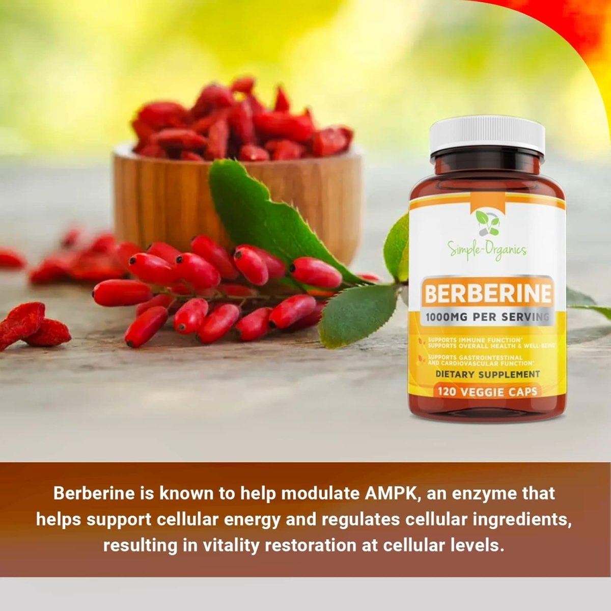 Berberine 500Mg Supports Healthy Immune Function, Anti - Oxidant 120 Capsules (1000Mg per Serving) - Suppviv