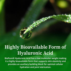 Biopure Hyaluronic Acid Liquid Solution – for Oral & Topical Use to Benefit Joint Lubrication and Skin Hydration, Elasticity – 4 Fl Oz - Suppviv