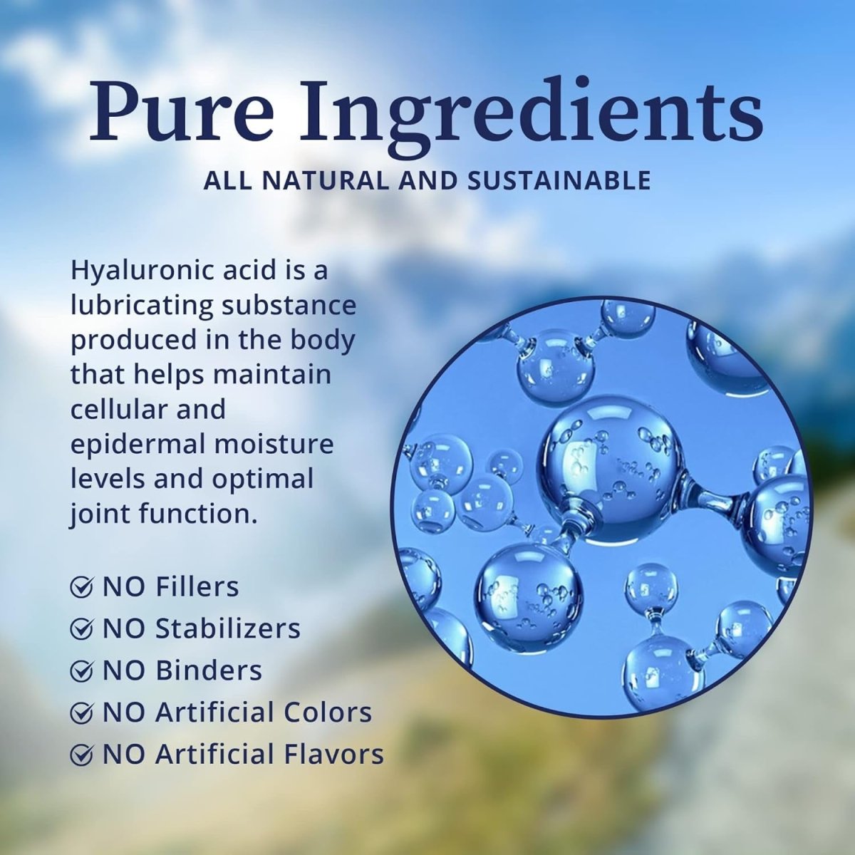 Biopure Hyaluronic Acid Liquid Solution – for Oral & Topical Use to Benefit Joint Lubrication and Skin Hydration, Elasticity – 4 Fl Oz - Suppviv