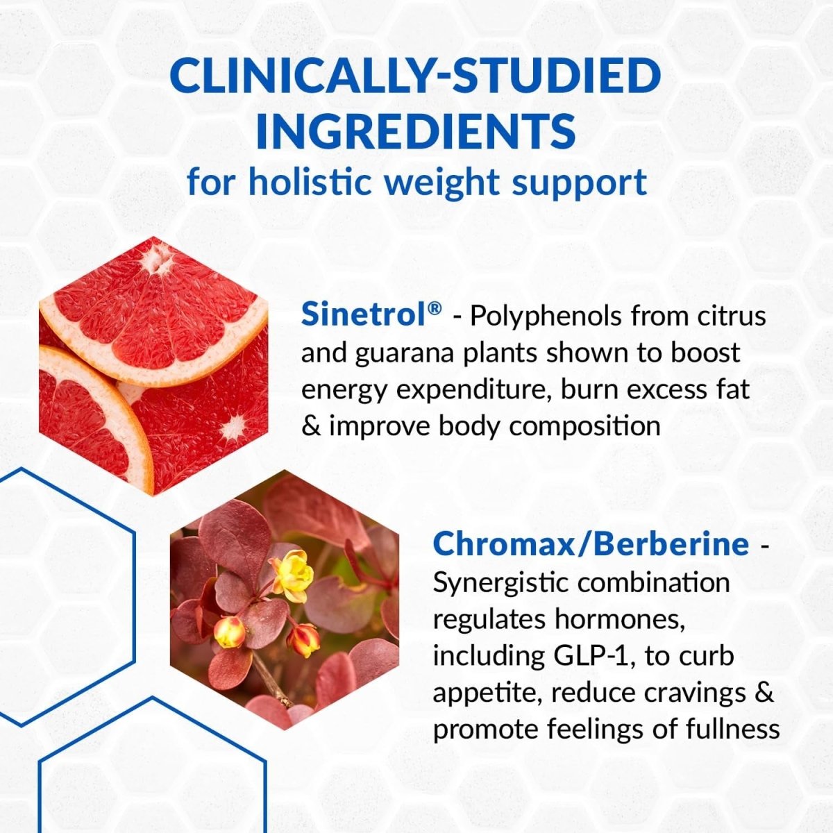 Biotrust Metaboboost Weight Loss Supplement – Appetite Suppressant 60 Capsules - Suppviv