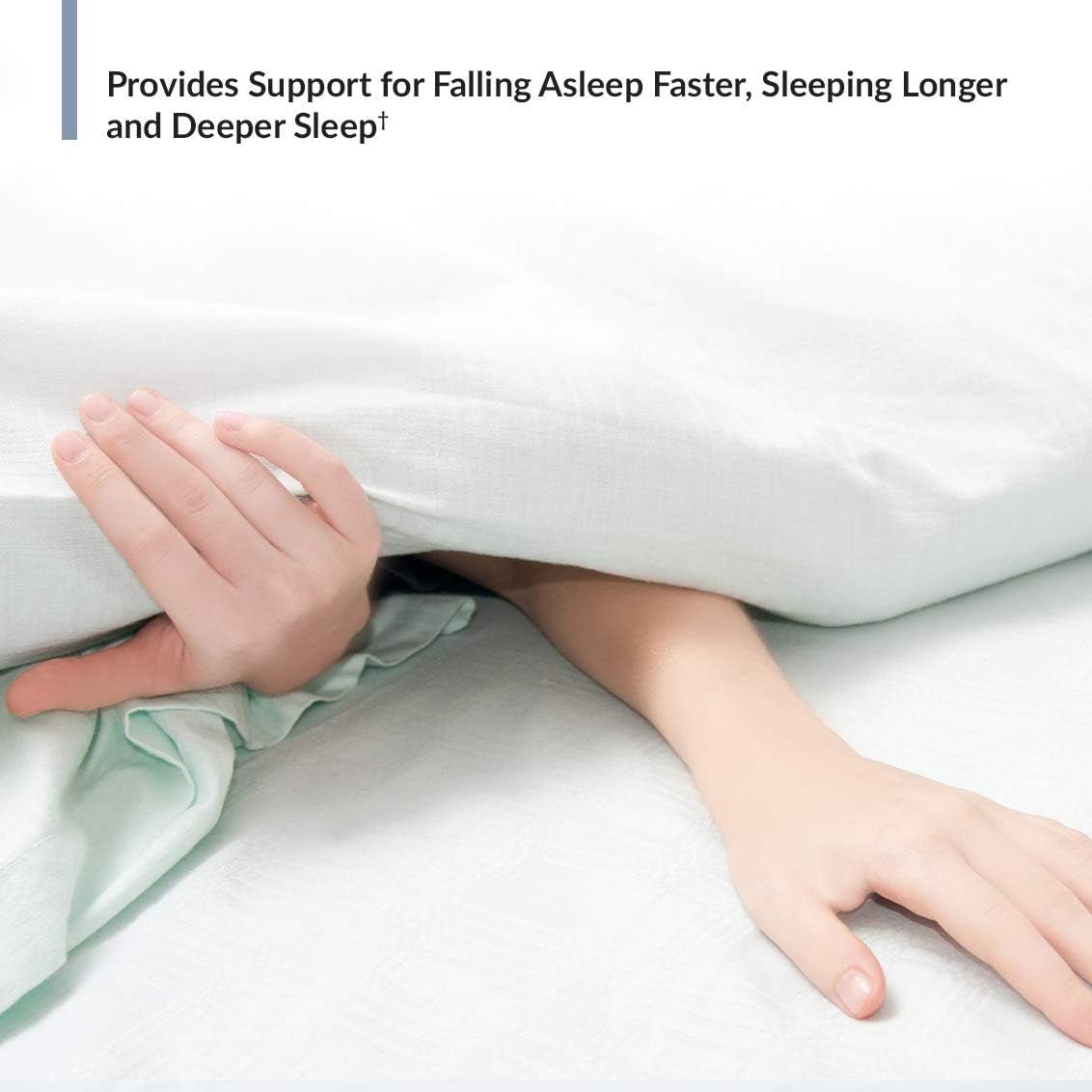 Biotrust Zen - Zzz, Non - Habit - Forming Sleep Support Supplement - 60 Capsules - Suppviv