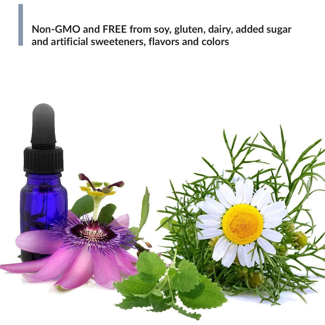 Biotrust Zen - Zzz, Non - Habit - Forming Sleep Support Supplement - 60 Capsules - Suppviv