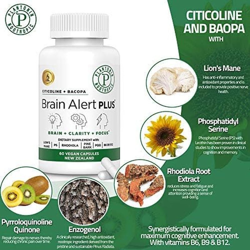 Brain Alert with Citicoline and Bacopa Monnieri - Suppviv