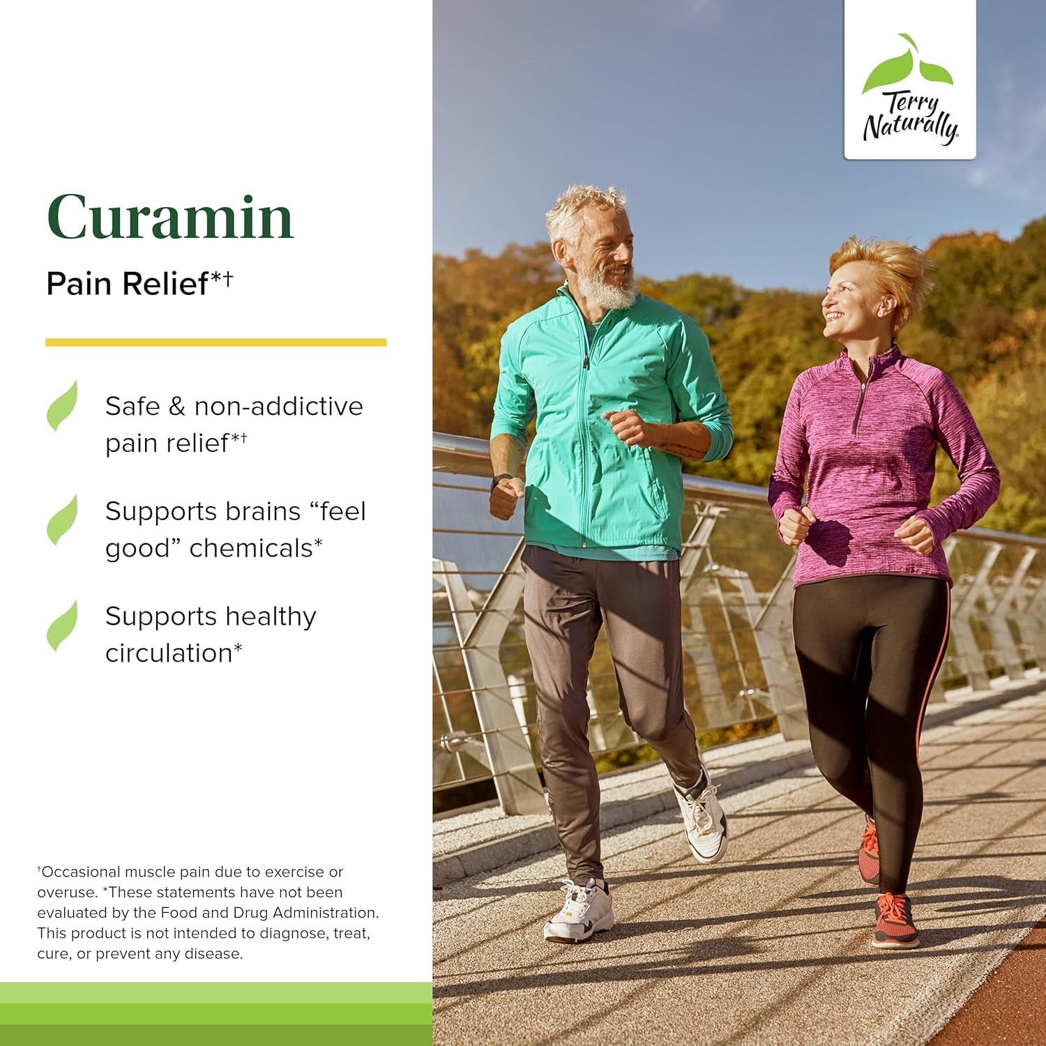 Terry Naturally Curamin - Curcumin Supplement for Circulation & Endorphin Support - 60 Capsules