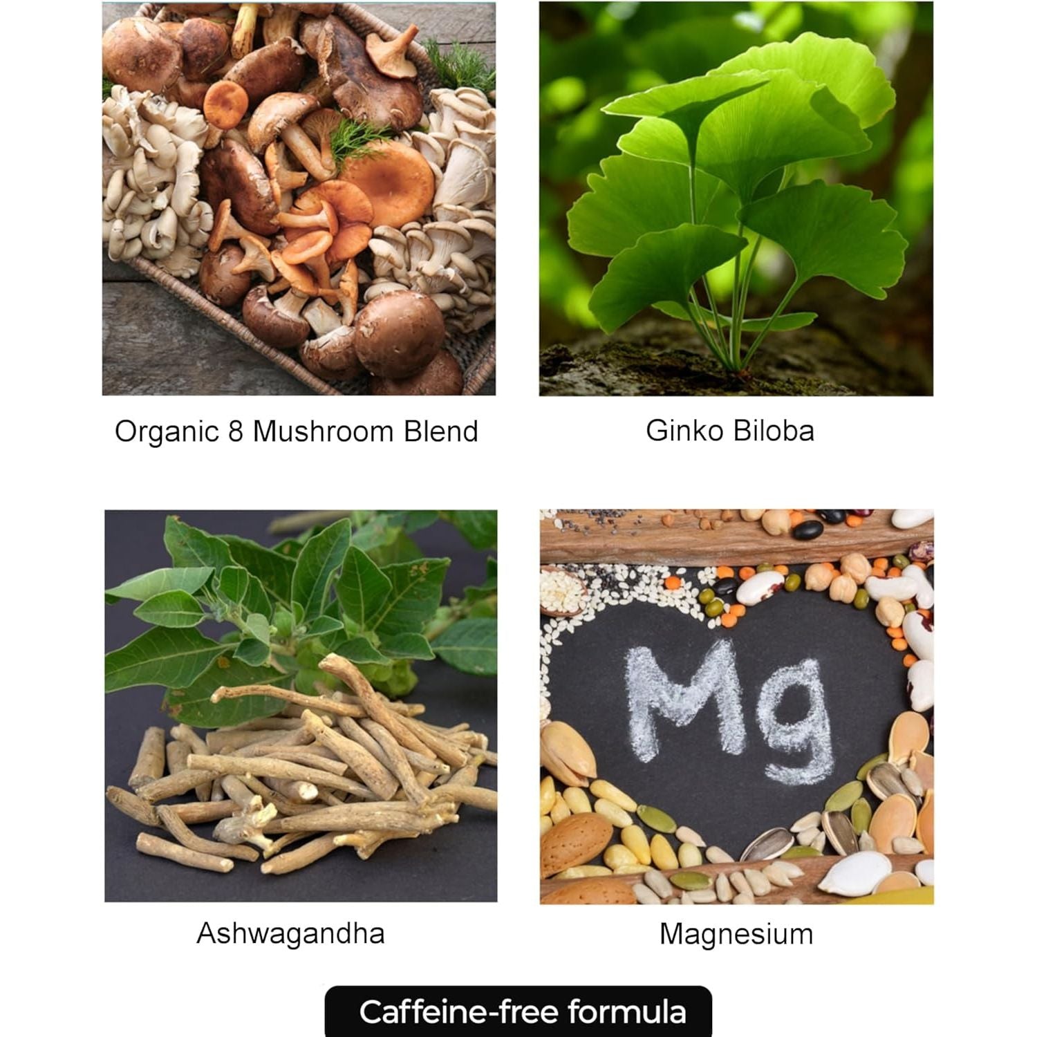 PUR Wellness Elevate Nootropic Brain Supplement for Focus, Clarity, Memory and Mood